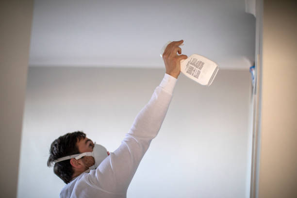 Best Mold Testing  in North Redington Beach, FL