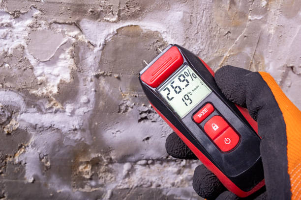 Best Commercial Mold Removal  in North Redington Beach, FL