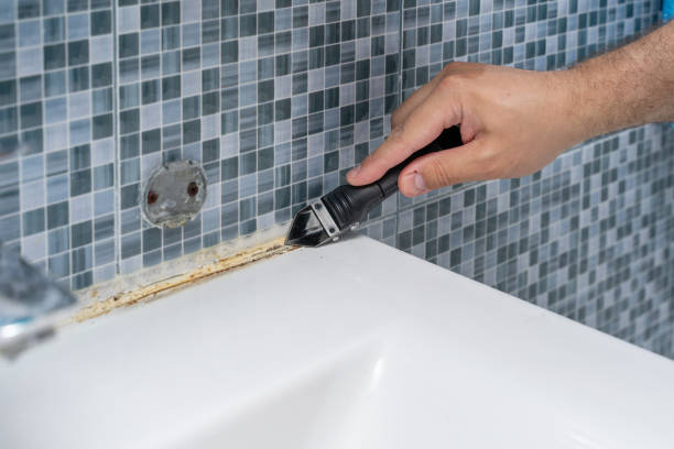 Best Mold Cleaning Services  in North Redington Beach, FL
