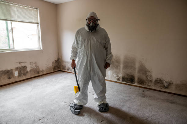 Best Residential Mold Removal  in North Redington Beach, FL